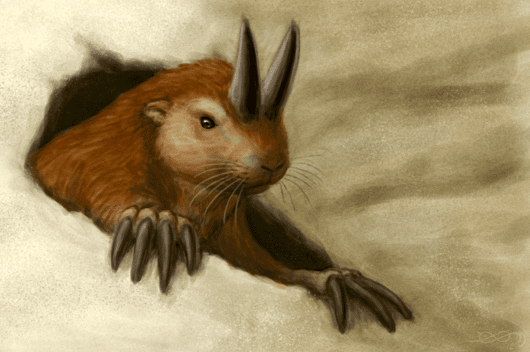 Horned gopher HowStuffWorks alphynix The horned gopher Ceratogaulus The