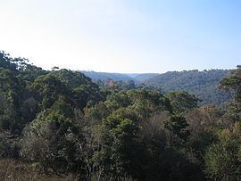 Hornsby Heights, New South Wales httpsuploadwikimediaorgwikipediacommonsthu