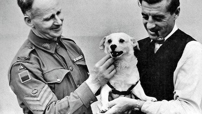 Horrie the Wog Dog A wag in the tale of Horrie the War Dog