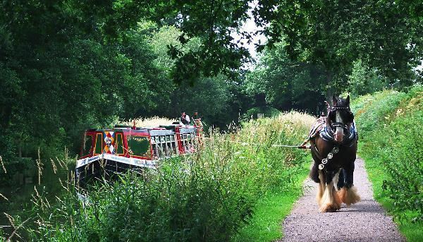 Horse-drawn boat FileHorsedrawn canal boat on the Grand Western Canal geograph