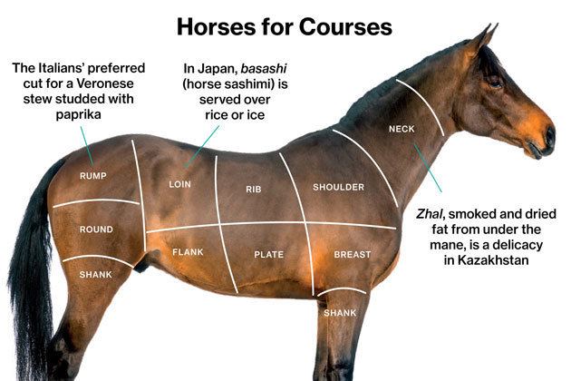 Horse meat A Slaughterhouse for Horse Meat Waits in New Mexico Bloomberg