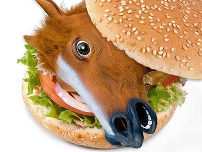 Horse meat Horse meat may be in your burger naaayyy it isn39t so Official