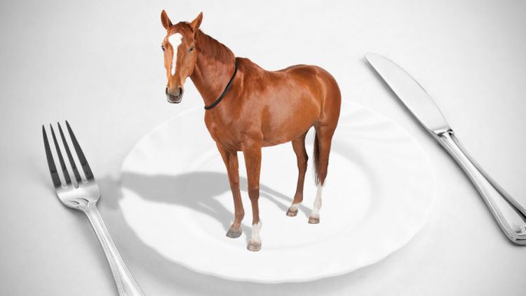 Horse meat Are You Eating Horse Europe39s Growing Horse Meat Scandal Explained