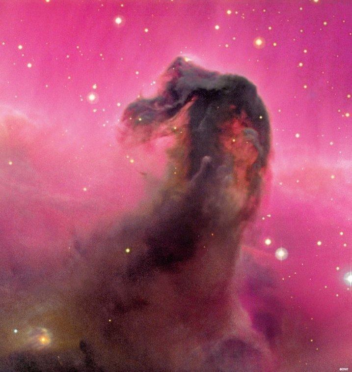 Horsehead Nebula Horsehead Nebula Wellknown Object is Hard to Find