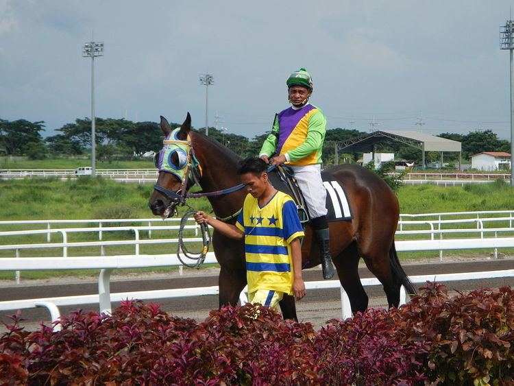 Horseracing in the Philippines