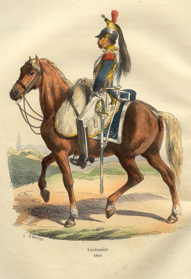 Horses in the Napoleonic Wars