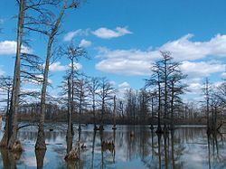 Horseshoe Lake (Alexander County, Illinois) httpsuploadwikimediaorgwikipediacommonsthu