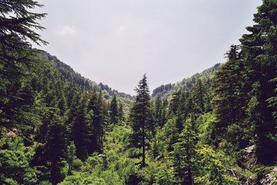 Horsh Ehden