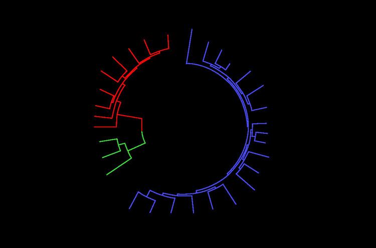 Host–parasite coevolution