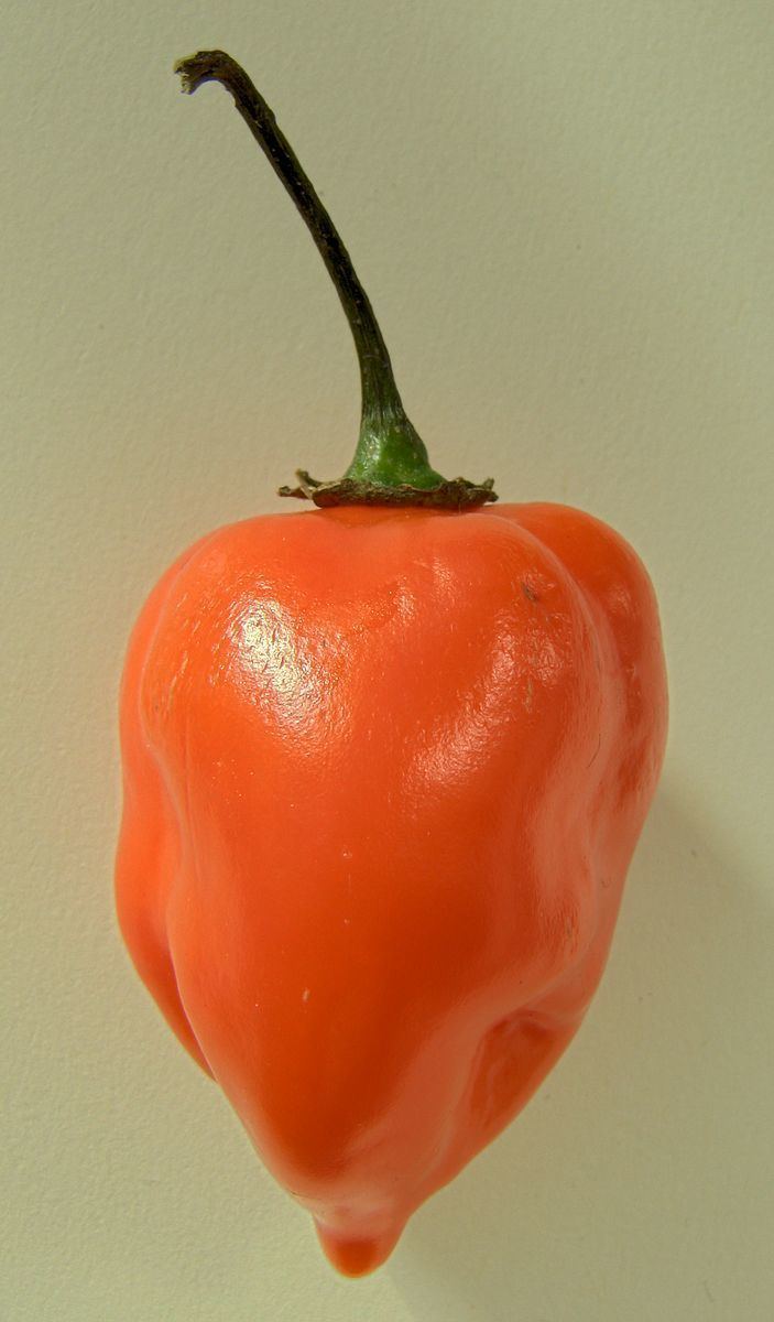 Hot pepper challenge