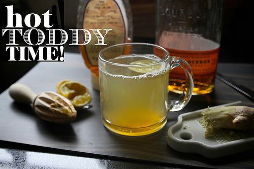 Hot toddy Hot Toddy Shutterbean