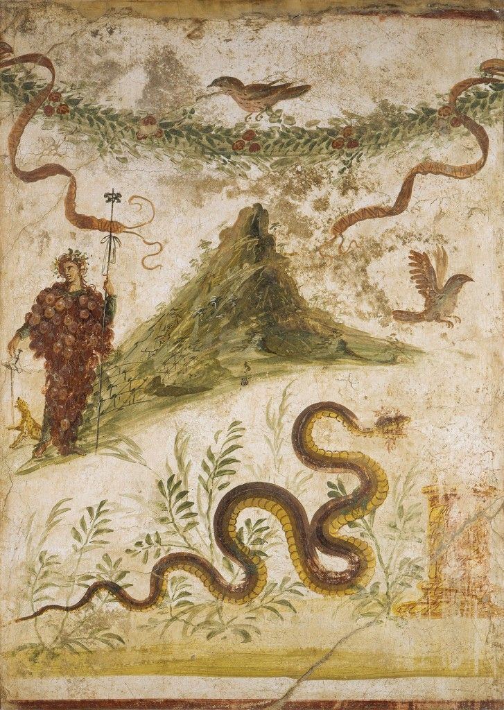 House of the Centenary Bacchus and the Mount Vesuvius Fresco Pompeii House of the