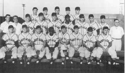 Houston Buffaloes Before the Colt 45s