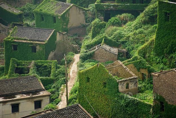 Houtouwan An Abandoned Chinese Village Is Now Gorgeously Overgrown With Ivy
