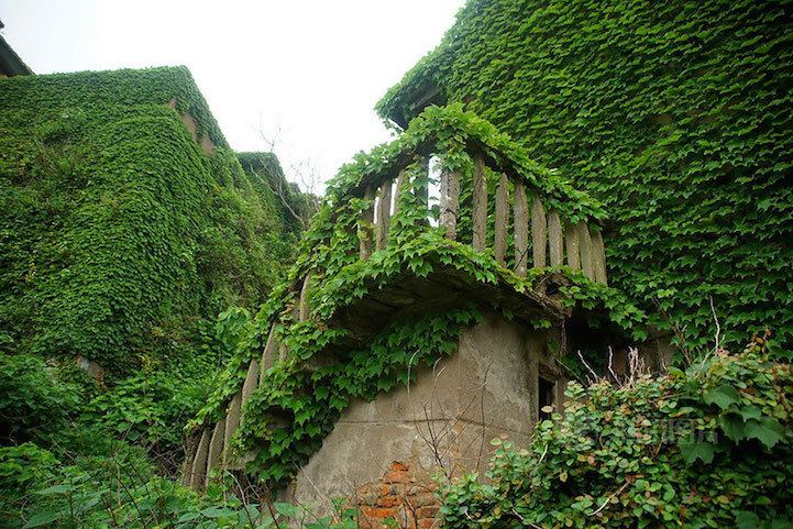 Houtouwan Abandoned Fishing Village in China Reclaimed by Nature