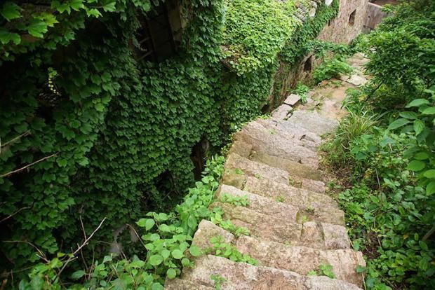 Houtouwan An Abandoned Chinese Village Is Now Gorgeously Overgrown With Ivy