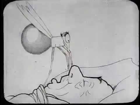 How a Mosquito Operates HOW A MOSQUITO OPERATES WINSOR McCAY 1912 YouTube