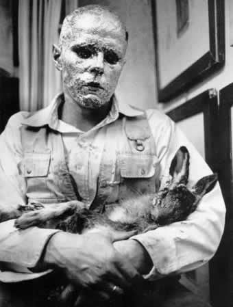 How to Explain Pictures to a Dead Hare Fluxus y la Paradoja del AntiArte Pictures Rabbit and Artists
