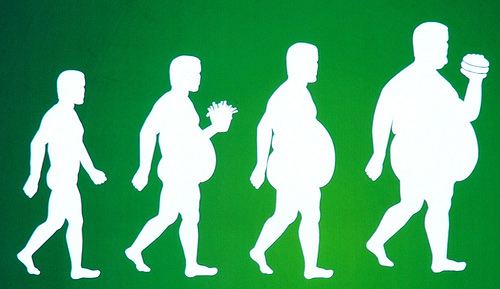 how to lose weight how to lose weight