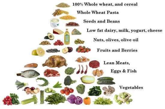 how to lose weight how to lose weight