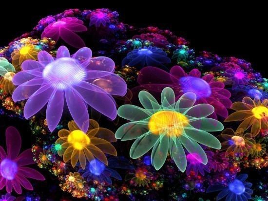 http://images4.fanpop.com/image/photos/17200000/Colourful-Flowers-bright-colors-17227068-550-413.jpg