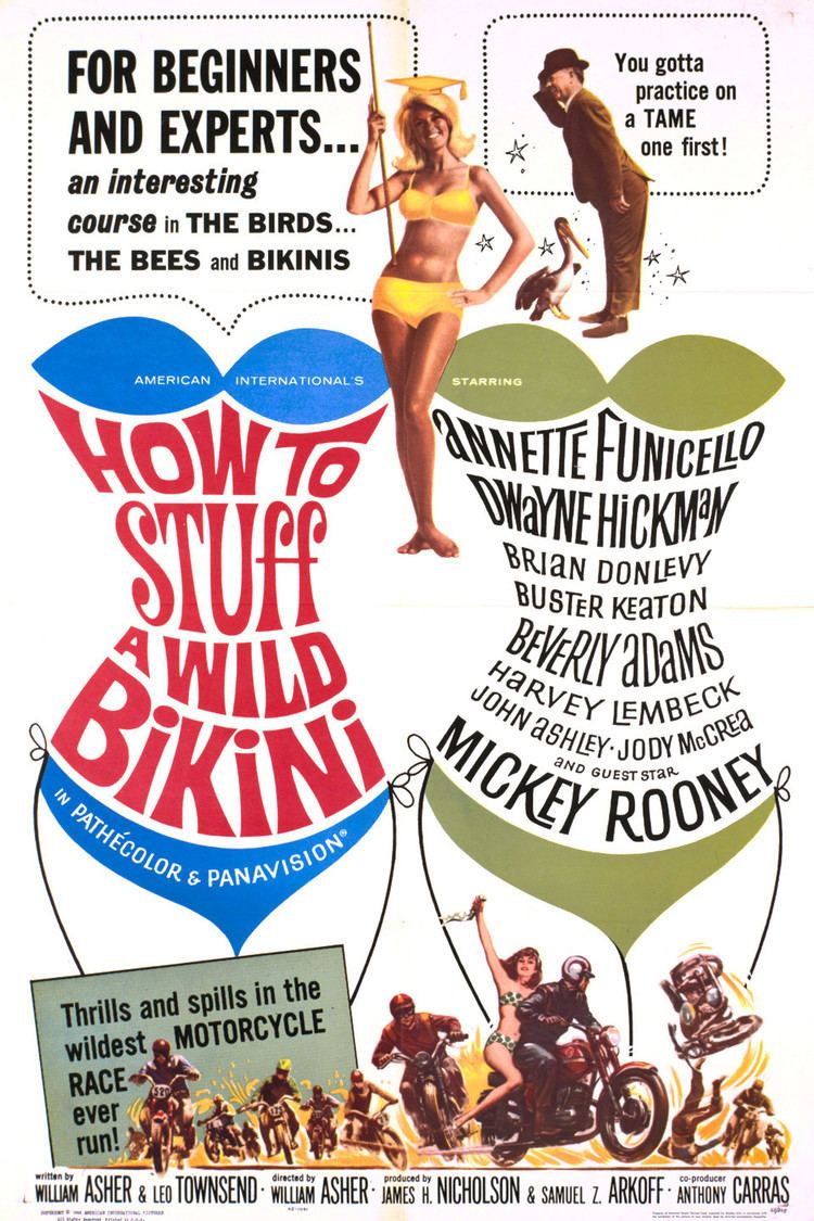 How to Stuff a Wild Bikini wwwgstaticcomtvthumbmovieposters3791p3791p