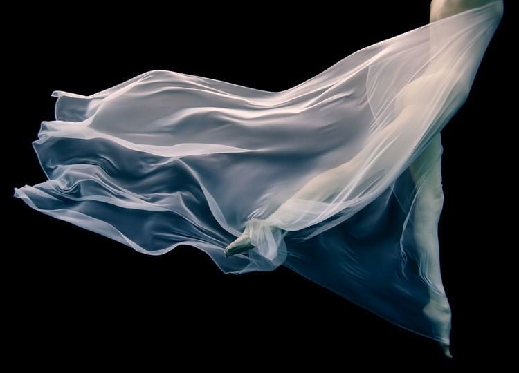 Howard Schatz Howard Schatz StaleyWise Gallery