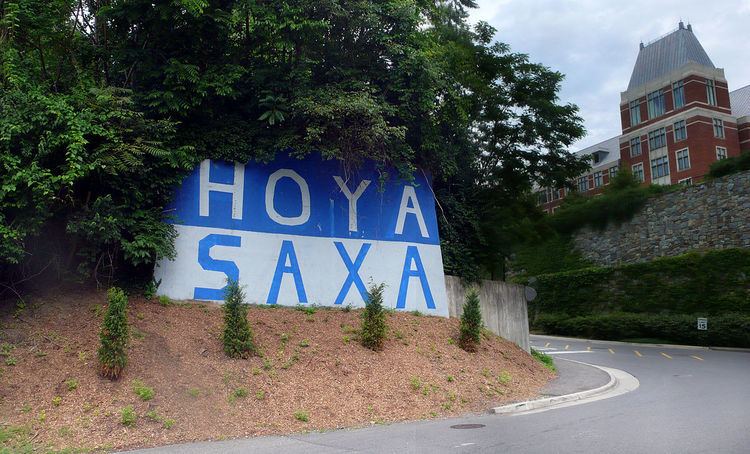 Hoya Saxa