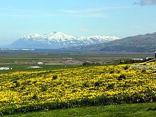 Héraðsvötn httpsuploadwikimediaorgwikipediacommonsthu