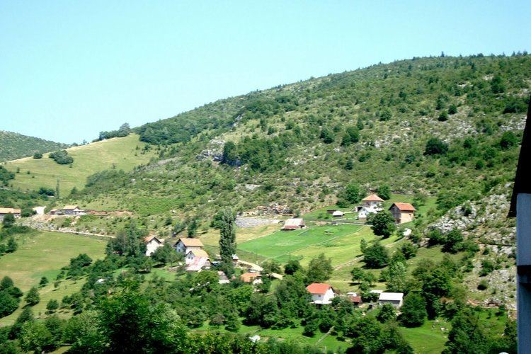 Hreša Panoramio Photo of Hrea pogled na Staru Hreu