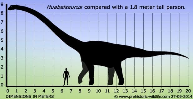 Huabeisaurus Huabeisaurus