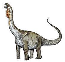 Huabeisaurus httpsuploadwikimediaorgwikipediacommonsthu