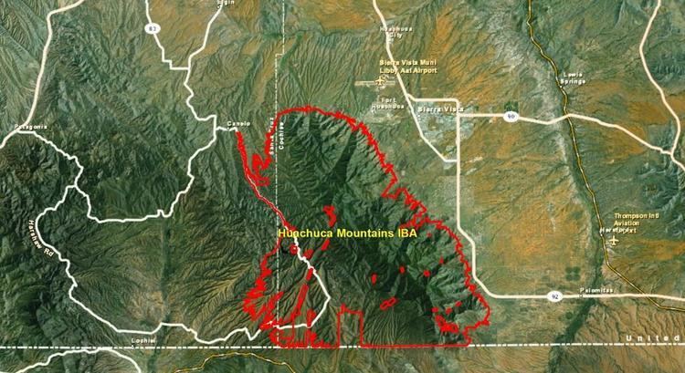Huachuca Mountains Huachuca Mountains IBA Arizona Important Bird Areas Program