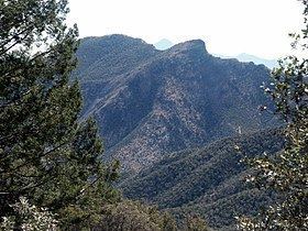 Huachuca Mountains httpsuploadwikimediaorgwikipediacommonsthu