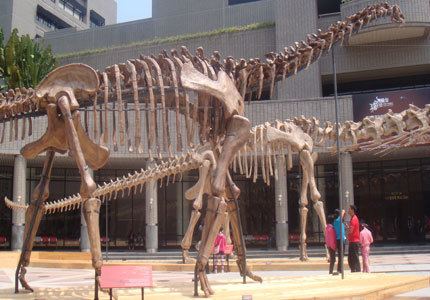 Huanghetitan Huanghetitan Dinosaur facts information Huanghetitan challengeri