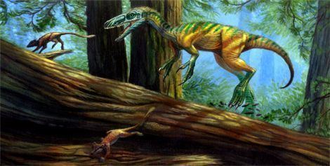 Huaxiagnathus Dinosaurs Huaxiagnathus