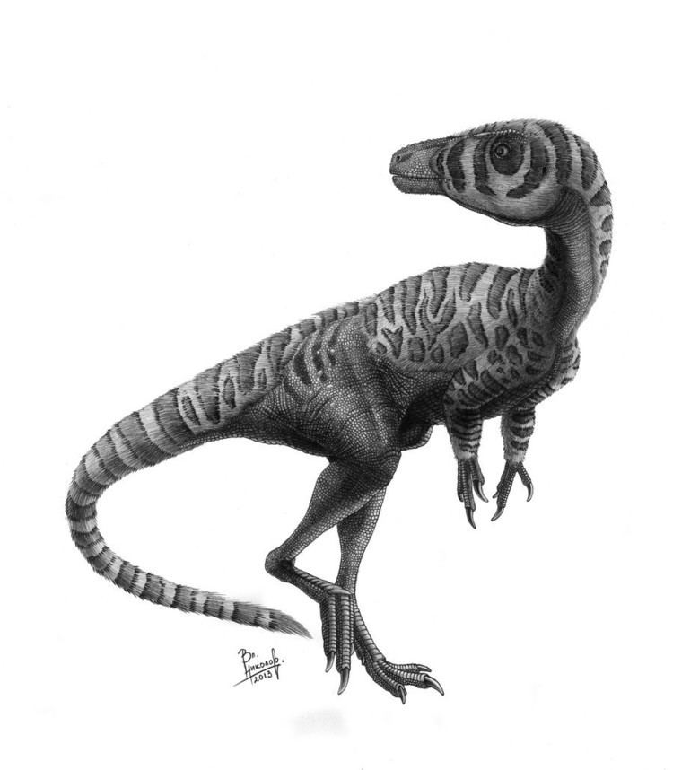Huaxiagnathus Huaxiagnathus Pictures amp Facts The Dinosaur Database
