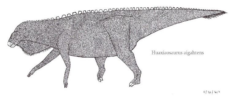 Huaxiaosaurus imagesdinosaurpicturesorghuaxiaosaurustheorn