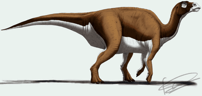 Huaxiaosaurus Huaxiaosaurus Encyklopedia Dinozaurycom