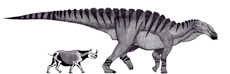 Huaxiaosaurus Huaxiaosaurus is Freaking Huge by Fragillimus335 on DeviantArt