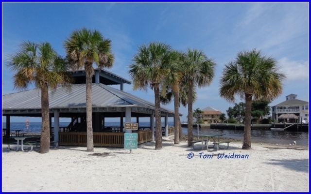 Hudson Beach, Florida Toni Weidman Homes for Sale Florida Luxury Hudson Beach in Hudson