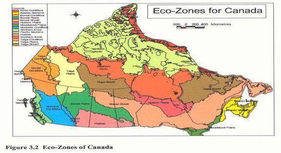 Hudson Plains Ecozone (CEC) EcozoneExperts Hudson Plains 2