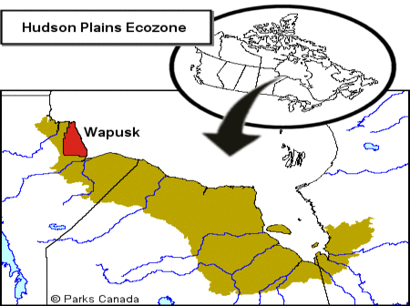 Hudson Plains Ecozone (CEC) EcozoneExperts Hudson Plains