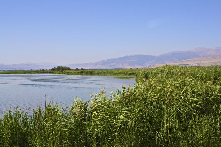 Hula Valley HULA VALLEY NATURE RESERVE Israel amp Beyond