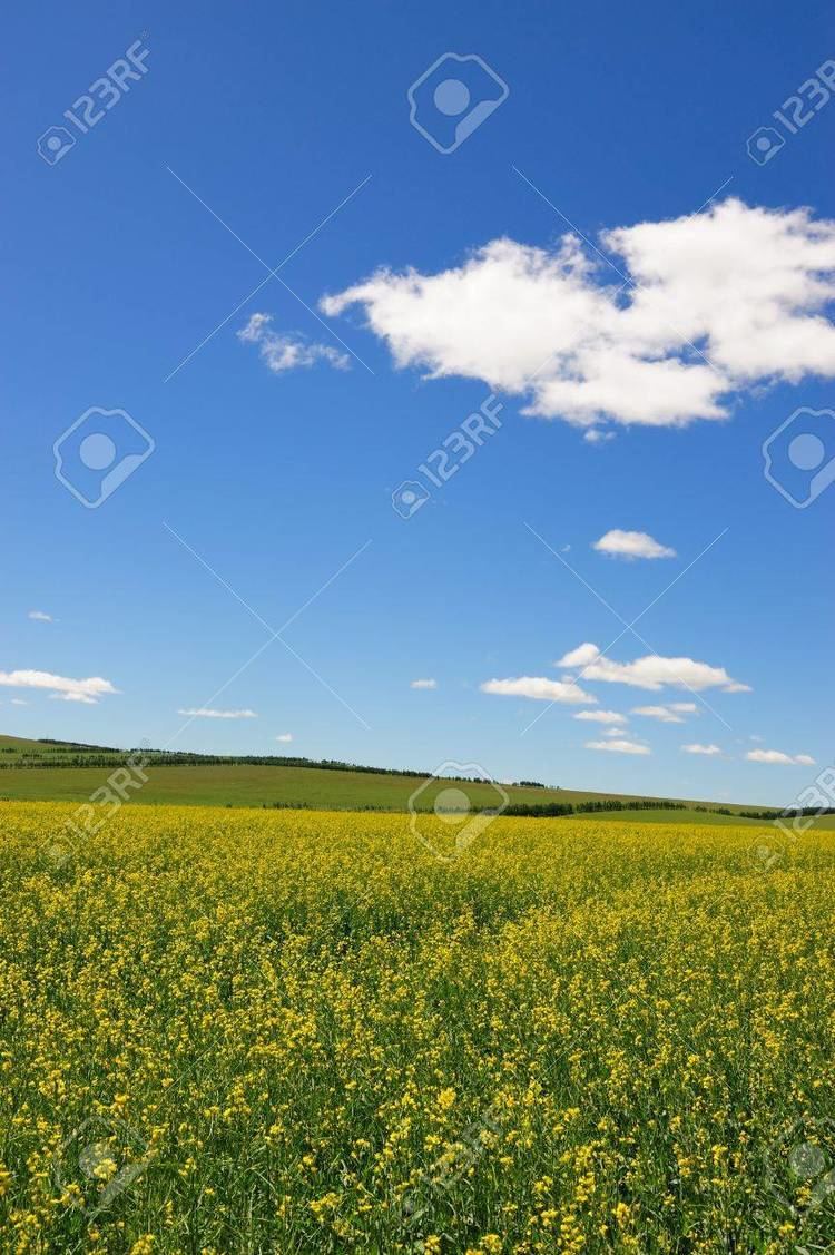 Hulunbuir Beautiful Landscapes of Hulunbuir