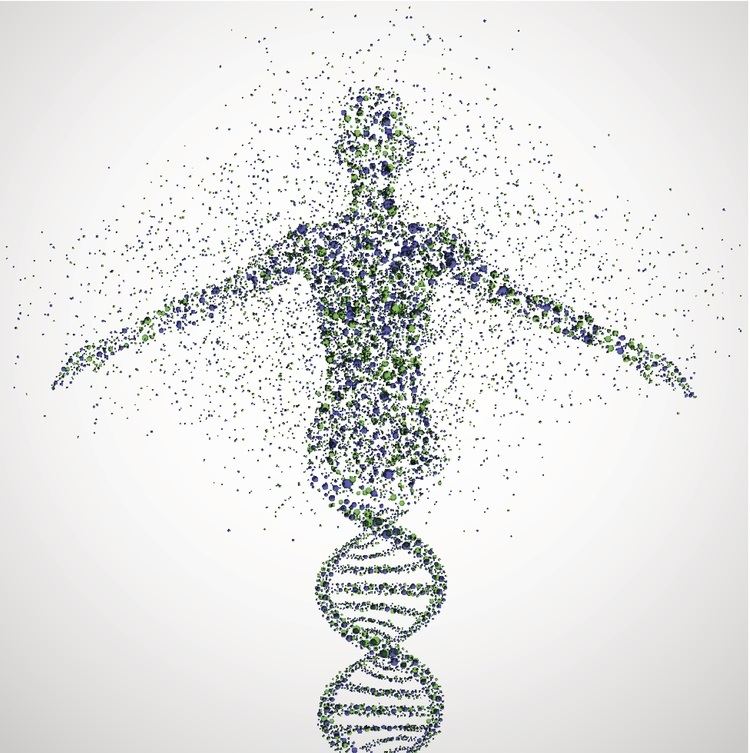 Human genome Big data The impact of the Human Genome Project Naturejobs Blog