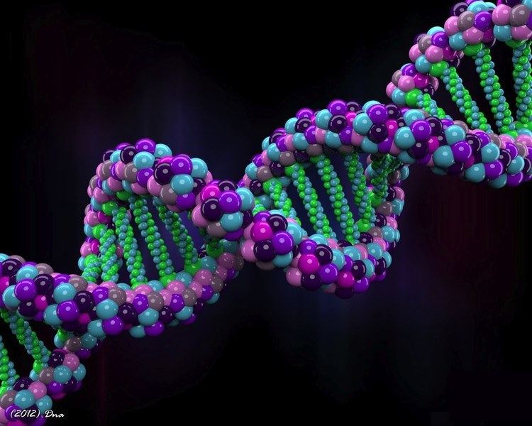 Human genome The Human Genome Project becomes a teenager