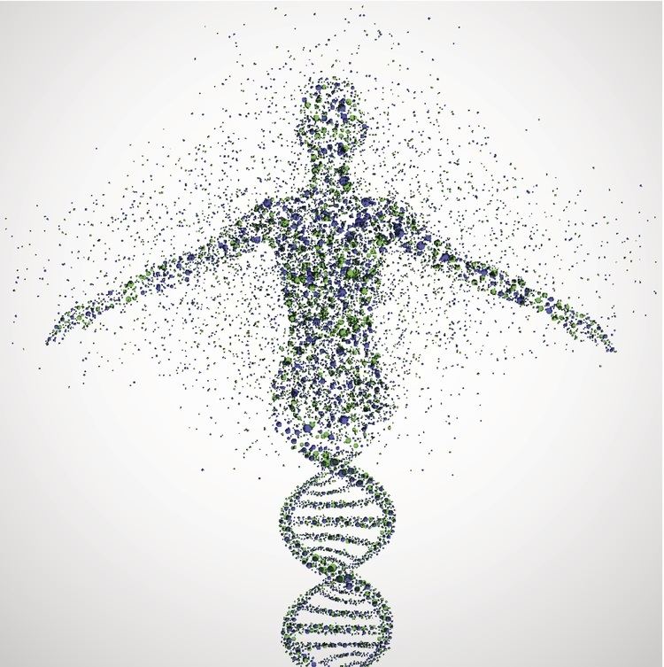 Human Genome Project Big data The impact of the Human Genome Project Naturejobs Blog