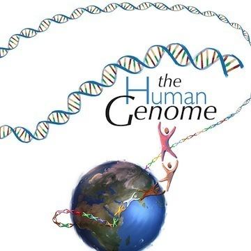 Human Genome Project Timeline Genome Unlocking Life39s Code