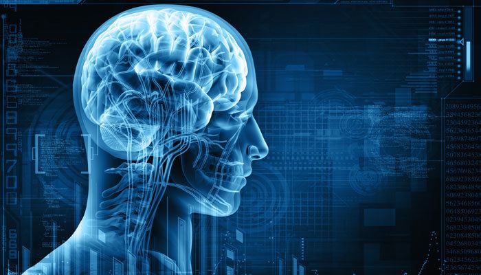 Human intelligence MRI scan could replace IQ test for measuring human intelligence